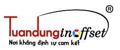 Logo TUAN DUNG okok3.png